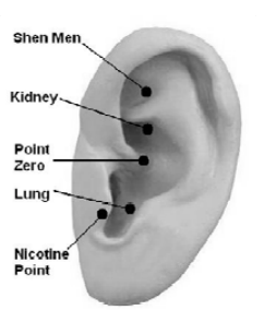 acupressure points for quitting smoking are shen men, kidney, point zero, lung, and nicotine point.